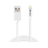 Lightning Cable
