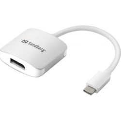 USB-C to DisplayPort Link