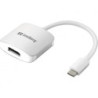 USB-C to DisplayPort Link