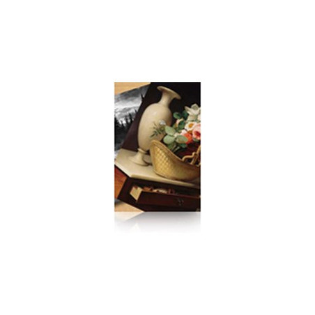 44'' Premium Luster Photo Paper 260gr 30m