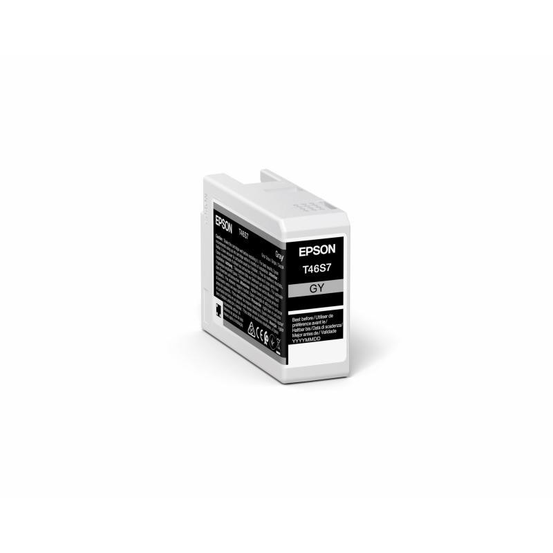 C13T46S700 grå blæk kassette