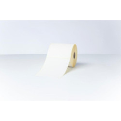 Thermolabels 102x152mm