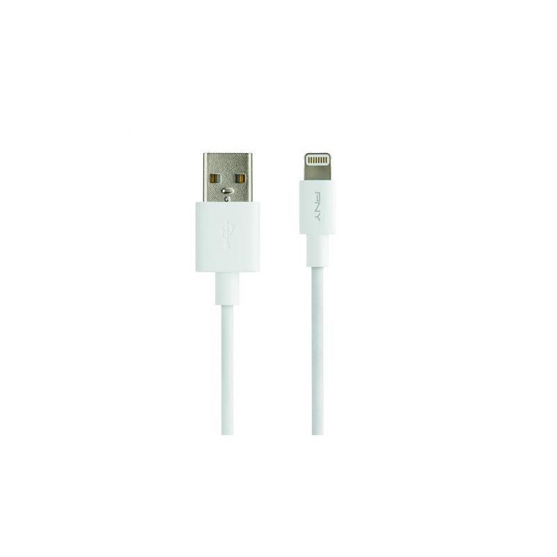 USB-A to Lightning