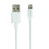 USB-A to Lightning