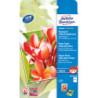 Avery C2550-50 10x15 Foto Kort