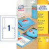 Avery C32250-25 CD Inserts for og bag  25 ark