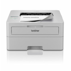 HL-L2865DW Sort/Hvid printer duplex Trådløs