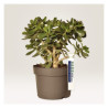 Avery T3008-10 Stropmærkater hvide 250x25mm, 10ark