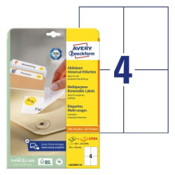 Avery L6028REV-25 Aftagelige etiketter