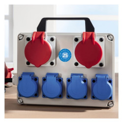 Avery 6946-2025 Inspektionsetiketter 2025 med NoPeel™ Ø30mm 10ark