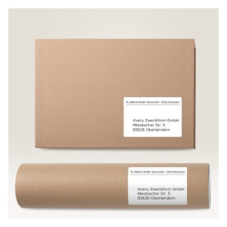 Avery 6601 Universaletiketter med ultragrip 105x148mm (65ark)