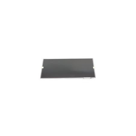 Acer LCD Panel 17in. WXGA Glara LF LK.17008.025