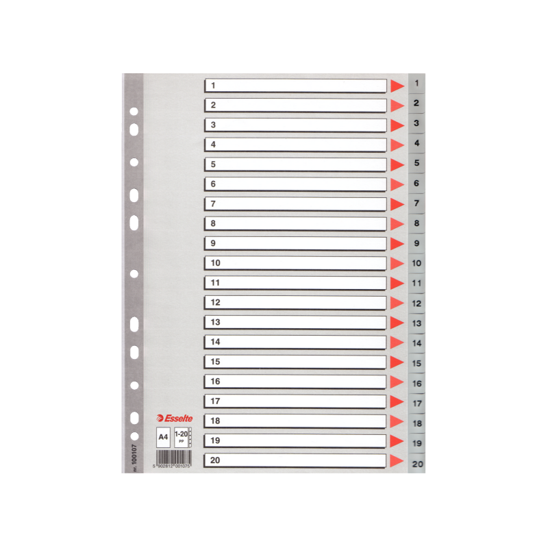 Register Esselte PP A4 1-20 grå 