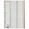 Register Esselte PP A4 1-54 grå