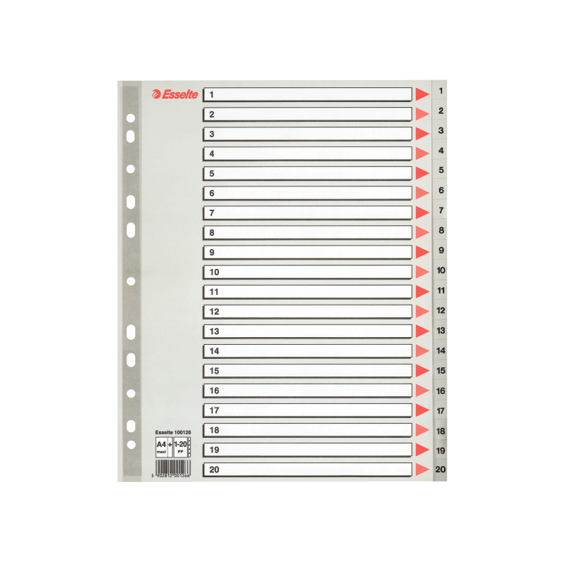 Register Esselte PP A4 Maxi 1-20 grå Register Esselte PP A4 Maxi 1-20 grå
