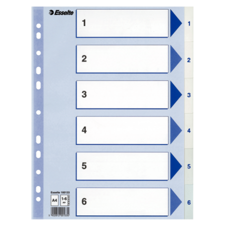 Register Esselte PP A4 1-6 hvid