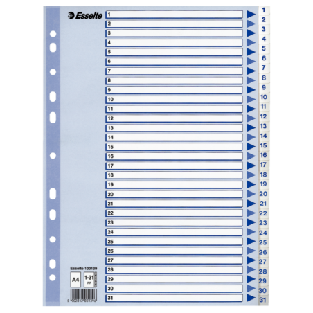 Register Esselte PP A4 1-31 hvid