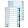 Register Esselte Mylar A4 1-10 flerfarv