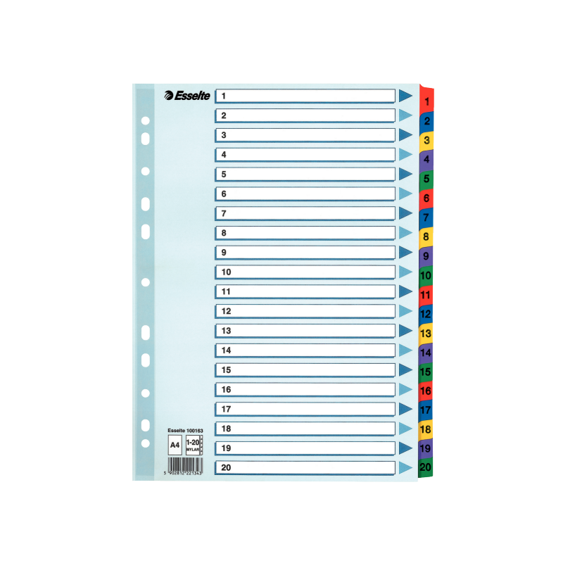 Register Esselte Mylar A4 1-20 flerfarve