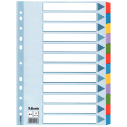 Faneblad Esselte Mylar A4 12delt flerfar