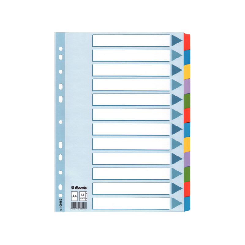 Faneblad Esselte Mylar A4 12delt flerfar