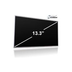 MicroScreen 13