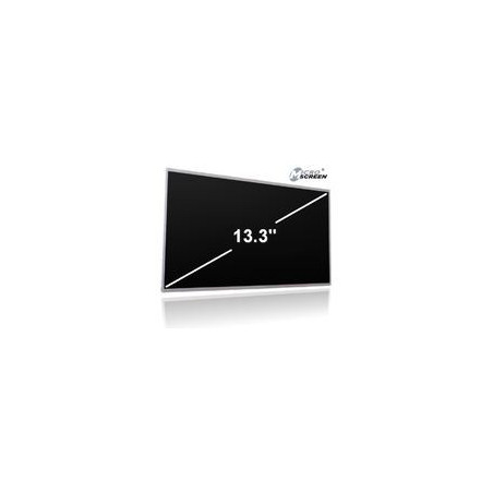 MicroScreen 13