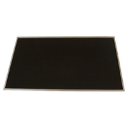 Acer LCD Panel 15