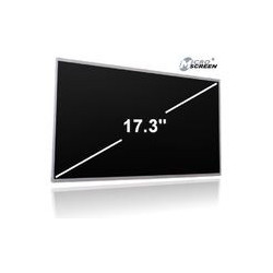 MicroScreen 17