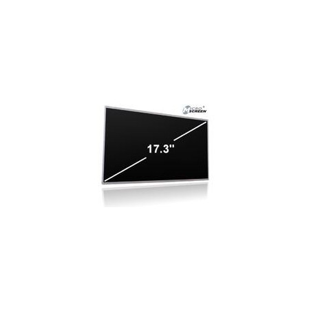 MicroScreen 17