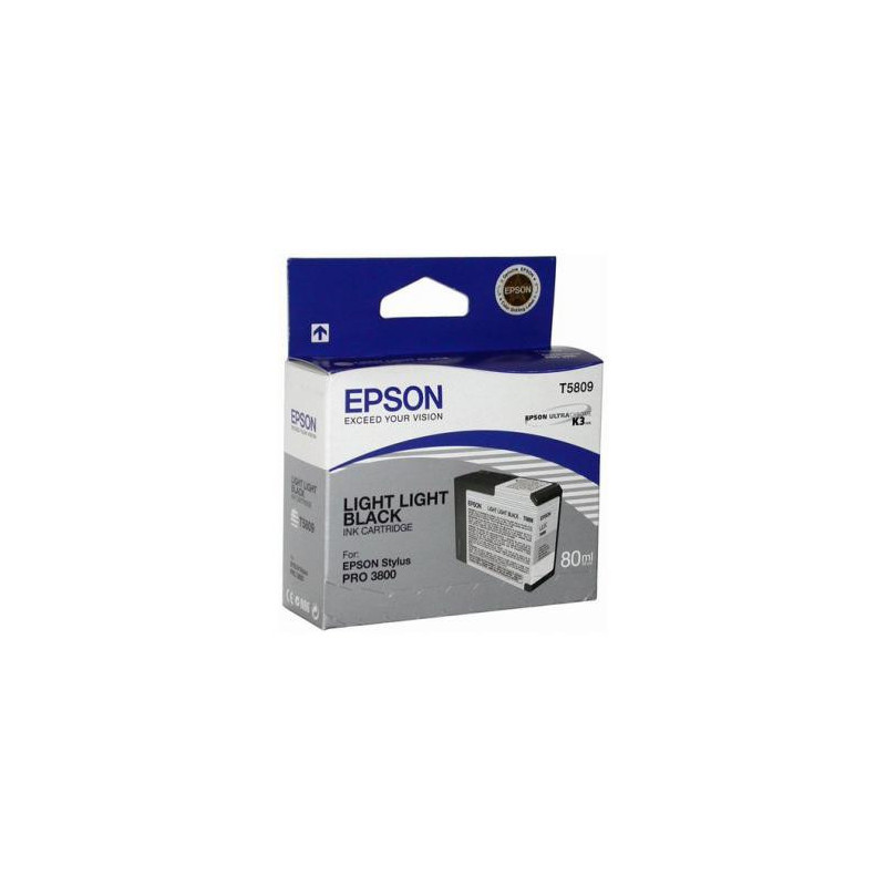 C13T580900 lys lys sort blækpatron