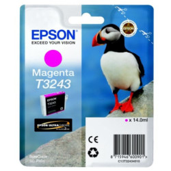 Blækpatron T3243 Magenta C13T32434010