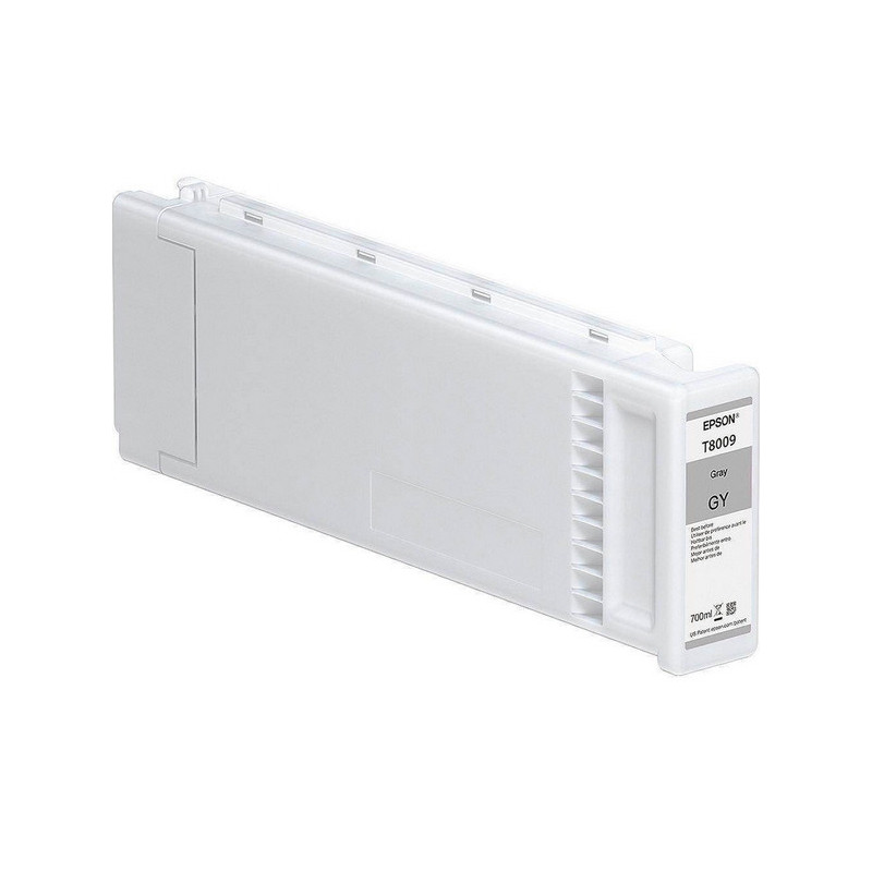 Blækpatron C13T800900 grå Original Epson