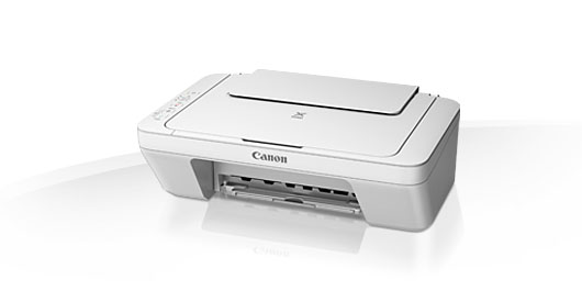 Blkpatroner Canon PIXMA-MG  2550 printer