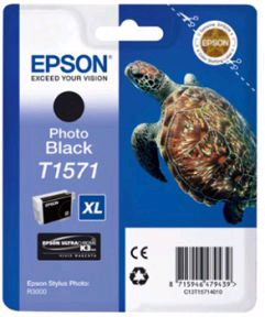 Blkpatron C13T15714010 Fotosort, Original Epson